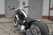 Picture 5 - Harley-Davidson Softail CVO 110 Custom Bike motorbike