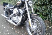 Picture 6 - 2007 Harley XL883L Sportster in Black, Only 1300 Miles motorbike