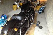 Picture 6 - Harley-Davidson Sportster 883 Iron motorbike