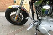 Picture 11 - Harley-Davidson FXST Softail 100 Anniversary model custom paint motorbike