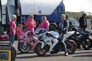 Picture 8 - 2009 Suzuki GSXR 1000 K9 White motorbike