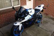 Picture 6 - 2009 Honda CBR 600 RR-9 in White, Limited Edition motorbike