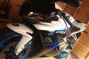 Picture 9 - 2009 Honda CBR 600 RR-9 in White, Limited Edition motorbike