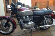 Picture 2 - 2001 Triumph T100 Bonneville 790cc, Genuine 600 Miles from New motorbike