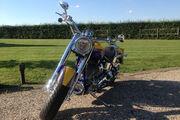 Picture 4 - Harley-Davidson FLSTFSE 2, 2006 Fatboy Screamin in Yellow & Blue motorbike