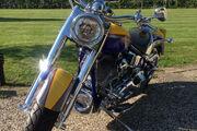 Picture 11 - Harley-Davidson FLSTFSE 2, 2006 Fatboy Screamin in Yellow & Blue motorbike