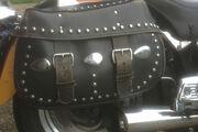 Picture 4 - Harley-Davidson FLSTF 1450 twin cam soft tail motorbike