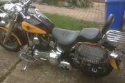 Picture 8 - Harley-Davidson FLSTF 1450 twin cam soft tail motorbike