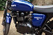 Picture 5 - Triumph Bonneville T100 Farnham 904cc Street Scrambler In Blue Unique. New Build motorbike