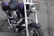 Picture 4 - 2001 Harley-Davidson FXSTDI Softail DEUCE EFI Metallic Purple motorbike