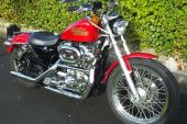 Harley Davidson Sportster 'Hugger' for sale