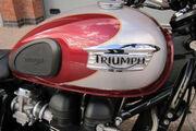 Picture 2 - Triumph Bonneville T 100 (865), 2009, Maroon & Silver, 8846 Miles motorbike