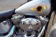 Picture 3 - Harley-Davidson FLSTFIA 15th Anniversary Fatboy motorbike
