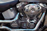 Picture 4 - Harley-Davidson FLSTFIA 15th Anniversary Fatboy motorbike