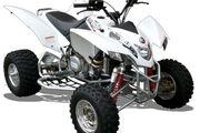 Picture 2 - Brand New Quadzilla Sports XLC 500e Road Legal Quad Bike 500cc ATV motorbike