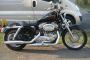 2006 Harley-Davidson XL 883L Sportster in Black, 81 Miles