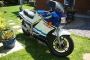 1986 Suzuki RG500 Gamma Blue & White