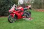 Triumph Daytona 675 2009 Tornado Red, Low Mileage, Excellent Condition