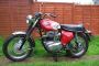 BSA Lightning