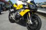2011 Aprilia Tuono V4R, 1184 miles, Yellow, Austin racing can