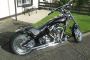 Ironhorse Hardtail