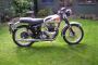Genuine Rocket Goldstar BSA