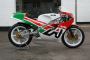 Aprilia AF1 250 GP 1988