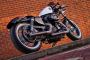 2015 Harley-Davidson XL1200X Custom King Forty-Eight - White Noise Custom