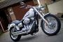 Harley-Davidson FXD35 Dyna White 2006 Limited Edition Rare