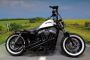 Harley-Davidson XL1200 X Forty Eight 48, Custom Paint, Extras