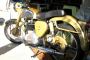 1955 BSA Golden Flash