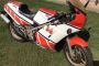 1984 Yamaha RZ500 2 Stroke V4 GP Replica