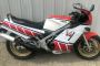 1985 Yamaha RZ500RN
