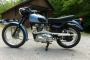 1955 Triumph Bonneville