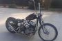 1955 Harley-Davidson FL