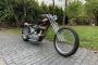 Arlen Ness Digger Chopper Ironhead Sportster
