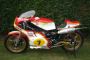 1976 Works Texaco Heron Team Suzuki RG500 Mk1 XR14