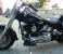 Picture 4 - Harley Davidson FLSTF FATBOY SOFTAIL + SQUIRE TRAILER motorbike
