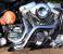 photo #6 - Proper Chopper Custom Motorcycle 2010 - Bobber - Harley Davidson Tank motorbike