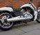 photo #2 - Brand New & Unregistered Harley-Davidson VRSCF V-Rod Muscle - Denim White Paint motorbike