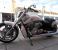 photo #5 - Brand New & Unregistered Harley-Davidson VRSCF V-Rod Muscle - Denim White Paint motorbike