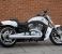 photo #11 - Brand New & Unregistered Harley-Davidson VRSCF V-Rod Muscle - Denim White Paint motorbike