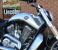 photo #5 - Brand New & Unregistered Harley-Davidson VRSCF V-Rod Muscle - Brilliant Silver motorbike
