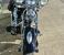 photo #9 - Harley-Davidson FLSTS 1450 Heritage Softail Springer, Rare Anniversary Model motorbike
