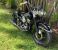 Picture 3 - 1955 Harley-Davidson FL FLH Panhead motorbike