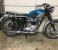 Picture 2 - 1964 Triumph Bonneville motorbike
