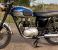 Picture 2 - 1959 Triumph T100 style 500cc, excellent runner with V5C motorbike