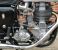photo #6 - 1958 BSA Gold Star 500cc motorbike