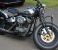 photo #3 - Harley Davidson CAUSEWAY  BOBBER 50's Style (2011) motorbike