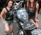 photo #7 - Harley-Davidson FLSTC Black motorbike